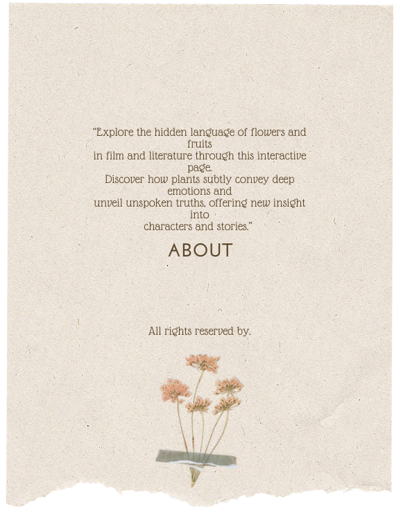 About Section